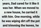My Dad Kept My Mom’s Last Wish—But It Took an Unexpected Turn