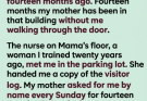 I Drove Forty Minutes to Visit My Mother—The Nursing Home Told Me My Sister Had Banned Me Fourteen Months Earlier Without Ever Telling Me